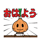 たまねぎマンスタンプ（個別スタンプ：5）
