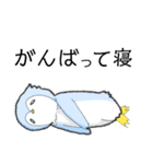 寝ぺんぎんの日常（個別スタンプ：11）