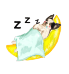 弦ちゃん 時々ソランちゃんと娘ちゃん（個別スタンプ：3）
