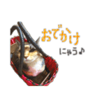 にゃんズすたんぷ - かわいい猫の家族たち（個別スタンプ：7）