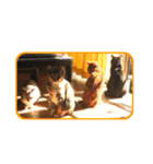 にゃんズすたんぷ - かわいい猫の家族たち（個別スタンプ：18）