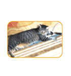 にゃんズすたんぷ - かわいい猫の家族たち（個別スタンプ：19）