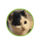 にゃんズすたんぷ - かわいい猫の家族たち（個別スタンプ：24）