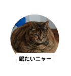 らなちゃん(RANA)（個別スタンプ：1）