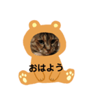 らなちゃん(RANA)（個別スタンプ：4）