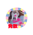 猫まみれ色々だニャン（個別スタンプ：1）