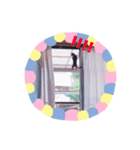 猫まみれ色々だニャン（個別スタンプ：8）
