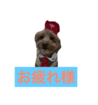 ゴディバ（個別スタンプ：2）