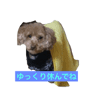 ゴディバ（個別スタンプ：6）