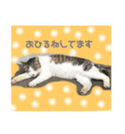 ペットのひとこと（個別スタンプ：2）