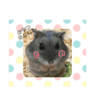 ペットのひとこと（個別スタンプ：7）