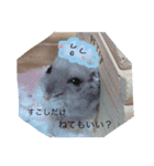 ペットのひとこと（個別スタンプ：8）