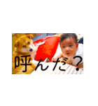 いちか(0歳)（個別スタンプ：3）