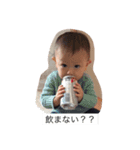 はるひなのスタンプ（個別スタンプ：11）