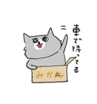 表情豊かな、ねこちゃん（個別スタンプ：2）