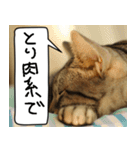 猫とお肉をお食事（個別スタンプ：6）