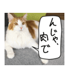 猫とお肉をお食事（個別スタンプ：13）