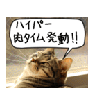 猫とお肉をお食事（個別スタンプ：23）