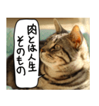 猫とお肉をお食事（個別スタンプ：25）