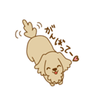 もふもふミニチュアダックスちゃん（個別スタンプ：9）