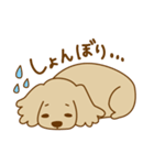 もふもふミニチュアダックスちゃん（個別スタンプ：15）