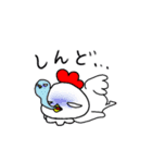 にわトリ子さん♪（個別スタンプ：20）