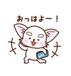 スマホ依存症のチワワ（個別スタンプ：1）