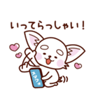 スマホ依存症のチワワ（個別スタンプ：3）