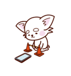 スマホ依存症のチワワ（個別スタンプ：30）