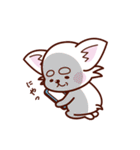 スマホ依存症のチワワ（個別スタンプ：31）