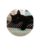 黒猫の空がご挨拶（個別スタンプ：2）