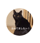 黒猫の空がご挨拶（個別スタンプ：9）