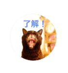 黒猫の空がご挨拶（個別スタンプ：10）