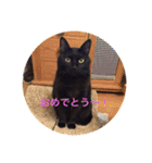 黒猫の空がご挨拶（個別スタンプ：18）