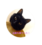 黒猫の空がご挨拶（個別スタンプ：20）