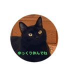 黒猫の空がご挨拶（個別スタンプ：22）
