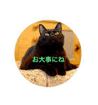 黒猫の空がご挨拶（個別スタンプ：23）