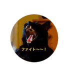 黒猫の空がご挨拶（個別スタンプ：24）