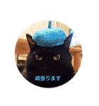 黒猫の空がご挨拶（個別スタンプ：26）