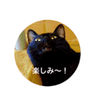 黒猫の空がご挨拶（個別スタンプ：27）