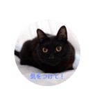 黒猫の空がご挨拶（個別スタンプ：35）