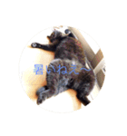 黒猫の空がご挨拶（個別スタンプ：36）