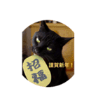 黒猫の空がご挨拶（個別スタンプ：39）