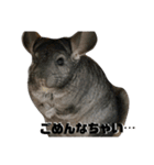 ふぐだよ。さかなじゃないよ（個別スタンプ：4）
