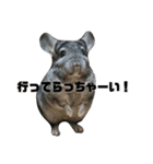 ふぐだよ。さかなじゃないよ（個別スタンプ：10）