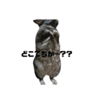 ふぐだよ。さかなじゃないよ（個別スタンプ：13）