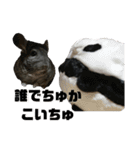 ふぐだよ。さかなじゃないよ（個別スタンプ：19）