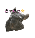 ふぐだよ。さかなじゃないよ（個別スタンプ：21）