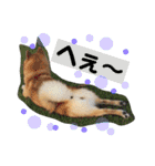 ララちゃん スタンプ（個別スタンプ：2）