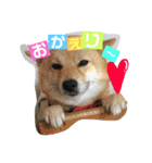 ララちゃん スタンプ（個別スタンプ：8）